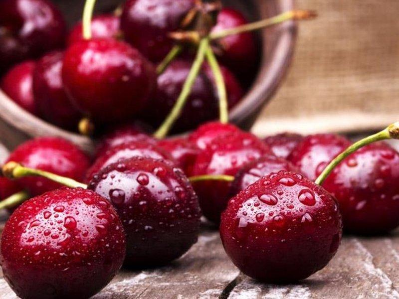 Вишня купить саженцы из питомника в Усолье-Сибирском